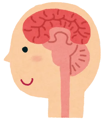 エビングハウスの理論とアカデミーでの英語学習